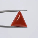 Red Coral - 3646