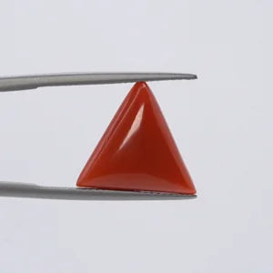 Red Coral - 3646