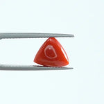 Red Coral - 1396