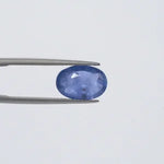 Blue Sapphire - 1594