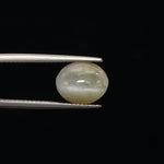 Cats Eye - 3371