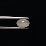 Cats Eye - 857