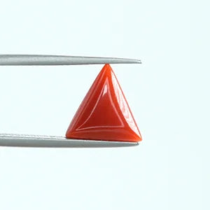 Red Coral - 1381