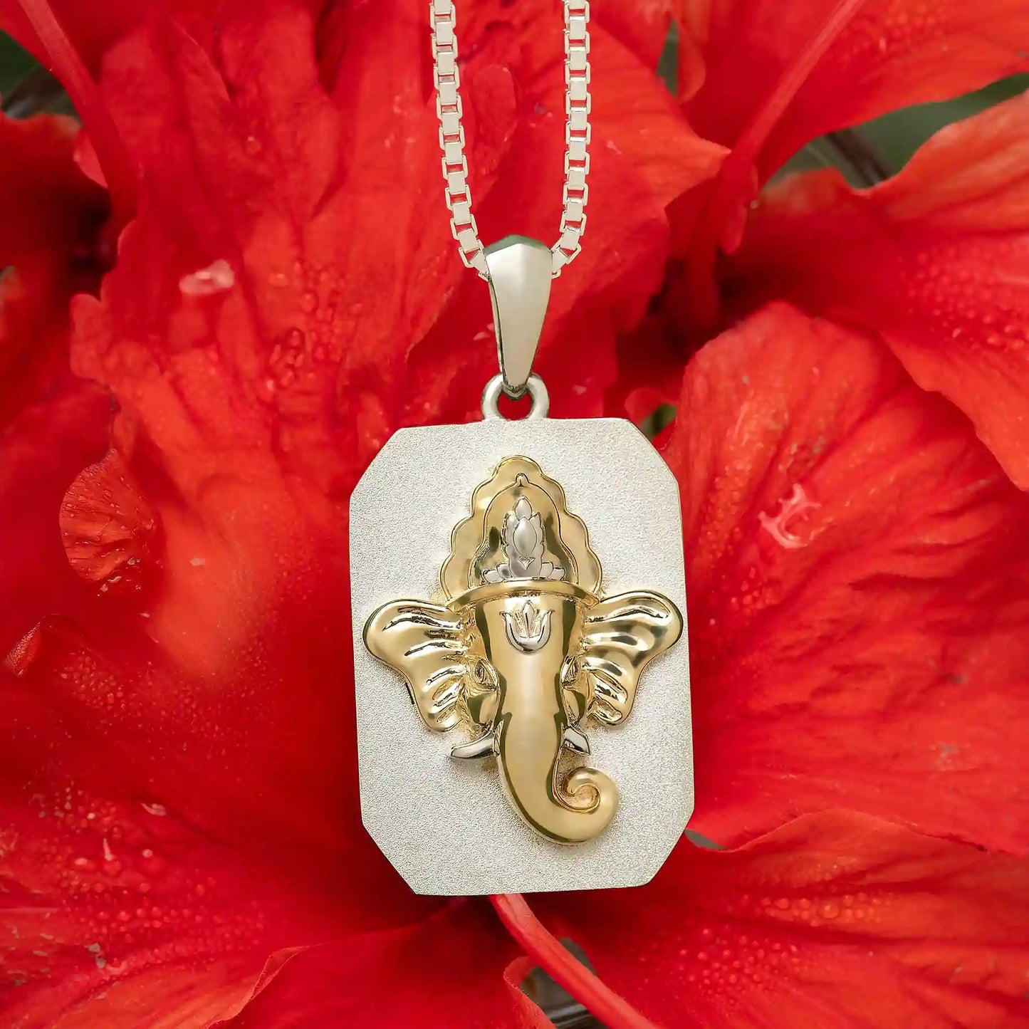 Ganpati Bhakti Kavach