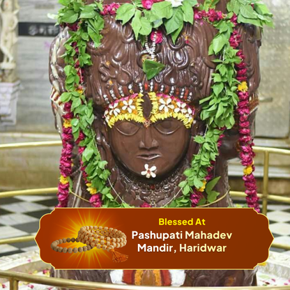 Tulsi Protection & Purity Set