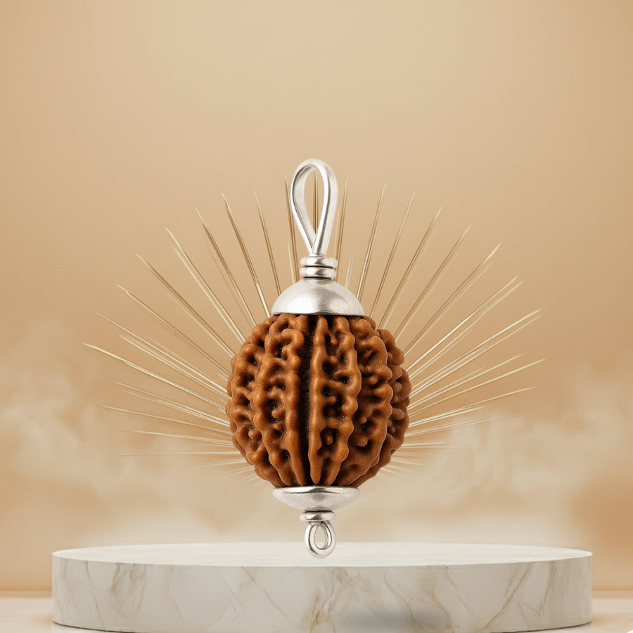 13 Mukhi Rudraksha Pendant - Nepali