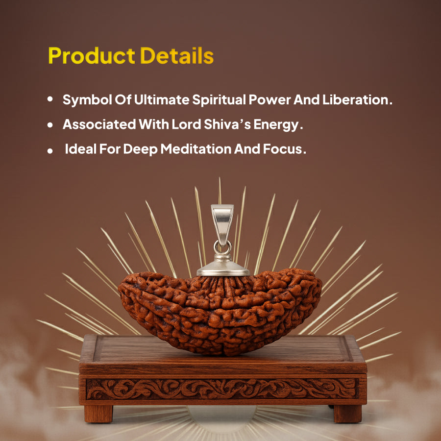 2 Mukhi Rudraksha Pendant- Indian