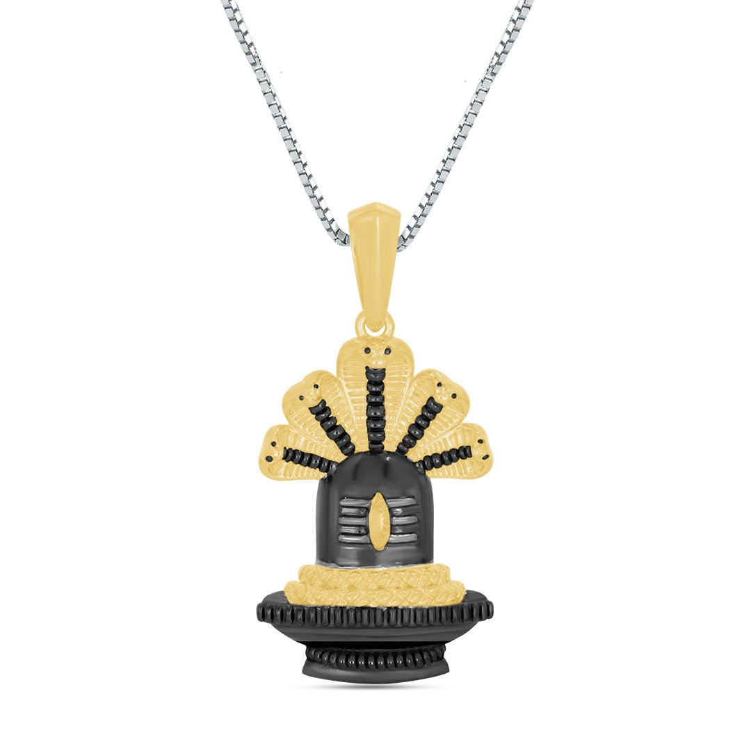 Shakti-infused Infinite Shivlinga