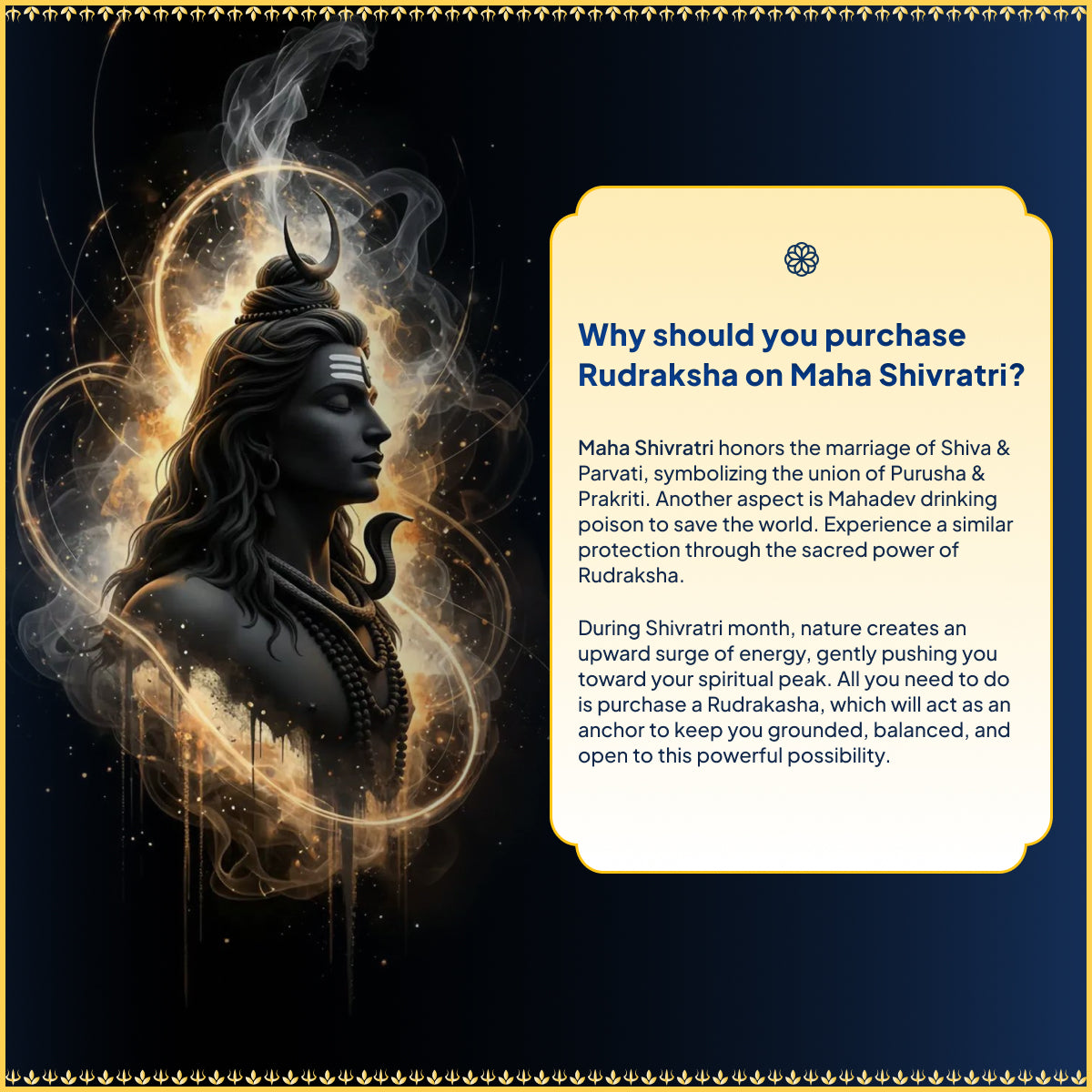 5 Mukhi Rudraksha - Nepali