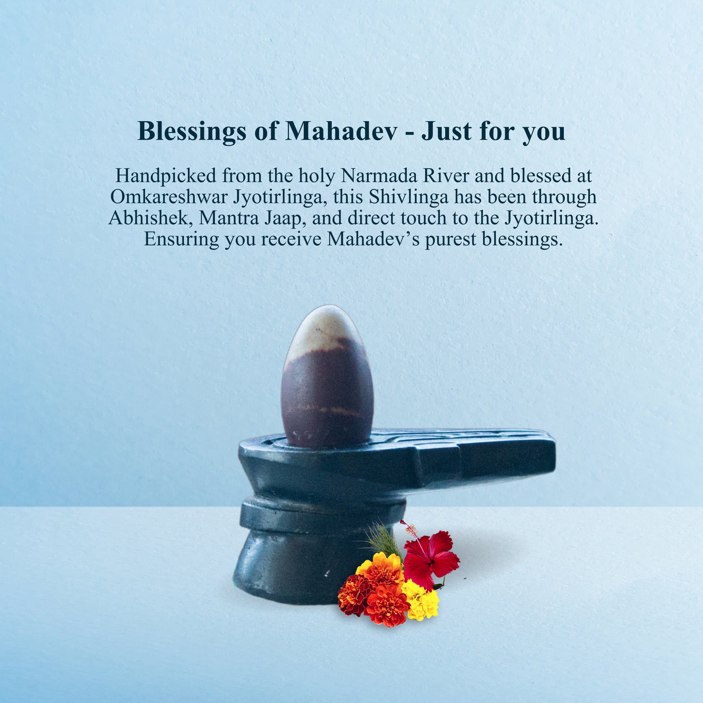 Narmadeshwar Shivling