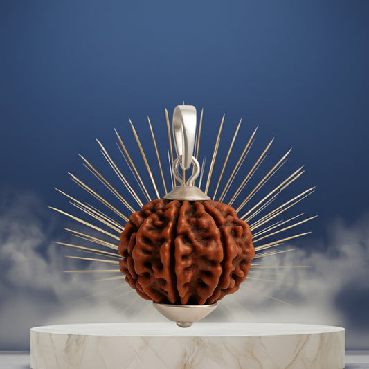 12 Mukhi Rudraksha Pendant- Nepali