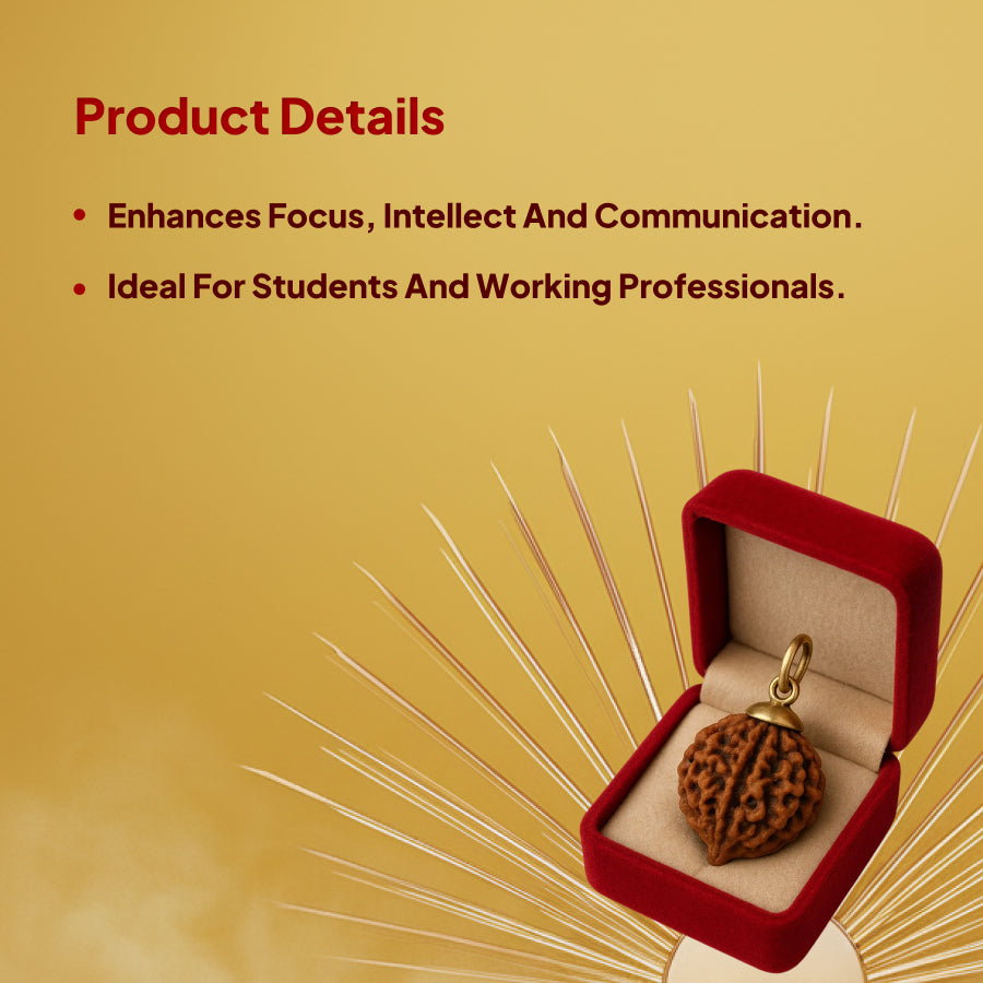 6 Mukhi Rudraksha Pendant- Nepali