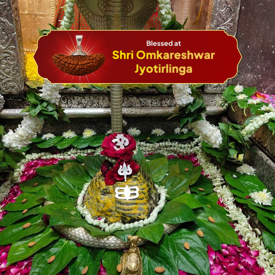 2 Mukhi Rudraksha Pendant- Indian