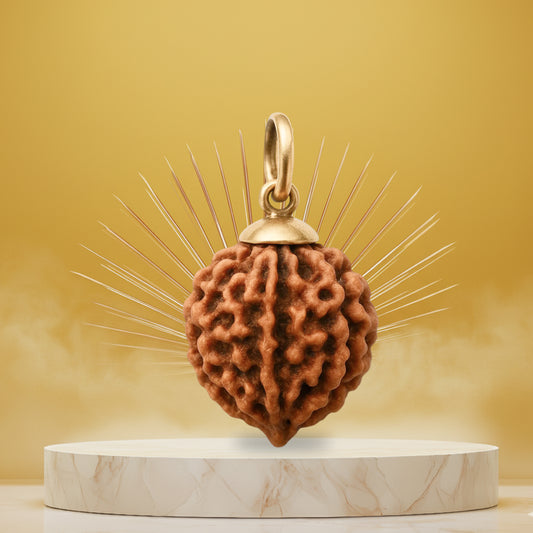 6 Mukhi Rudraksha Pendant- Nepali