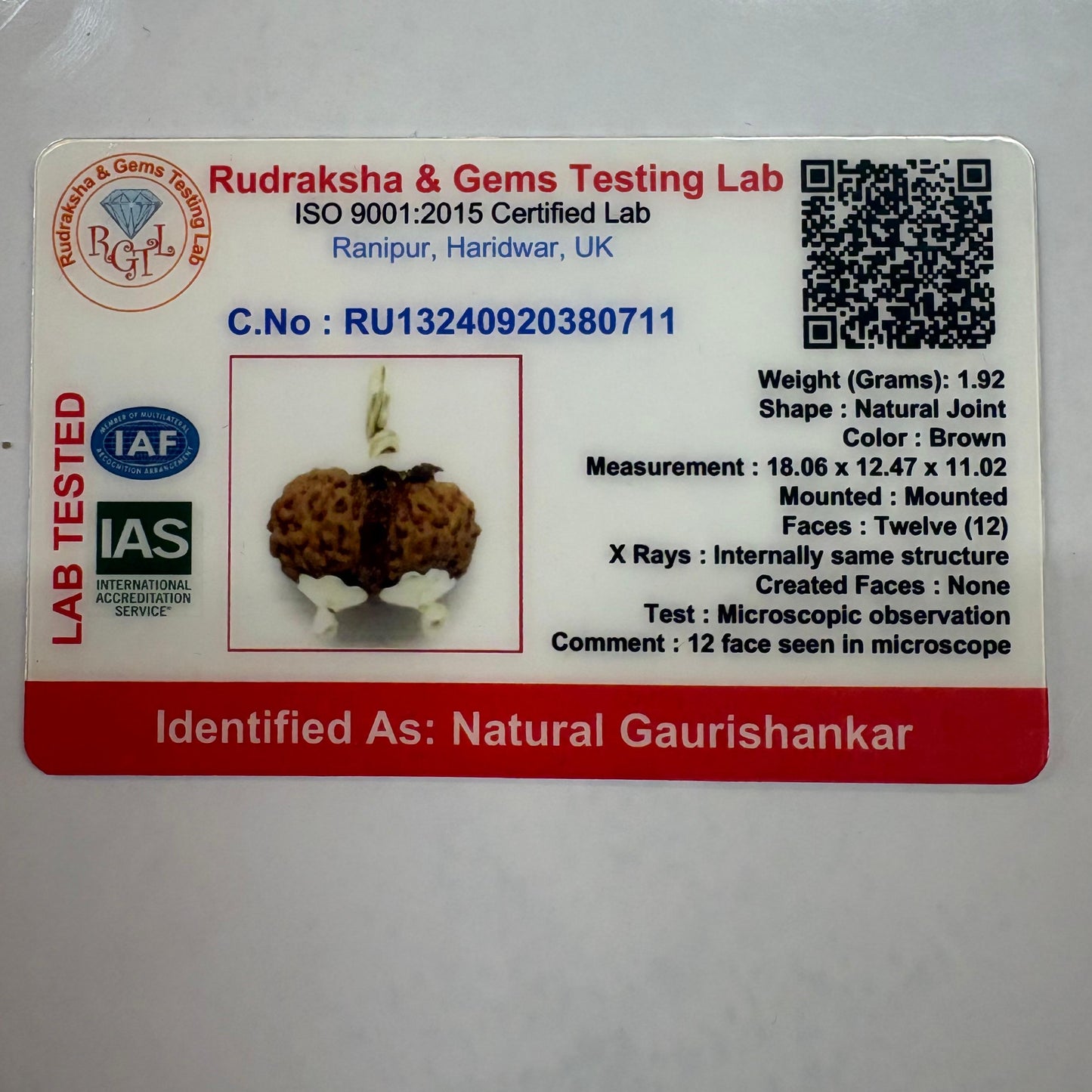 Gauri Shankar Rudraksha Pendant