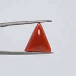 Red Coral - 3661
