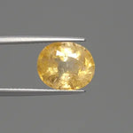 Yellow Sapphire - 3911