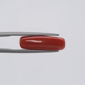 Red Coral - 1562