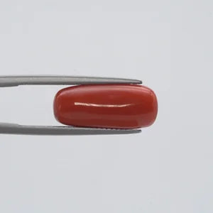 Red Coral - 285