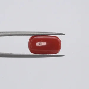Red Coral - 1559