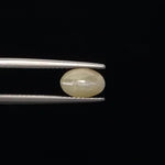 Cats Eye - 861