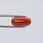 Red Coral - 3675