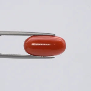 Red Coral - 3675
