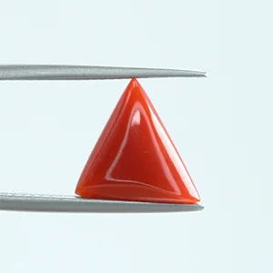 Red Coral - 1380