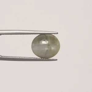 Cats Eye - 874