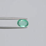 Emerald - 3801