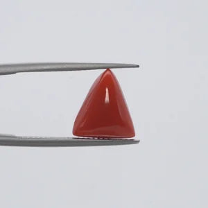 Red Coral - 323