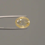 Yellow Sapphire - 1446