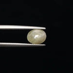 Cats Eye - 807