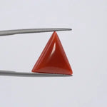 Red Coral - 3636