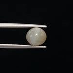 Cats Eye - 3395