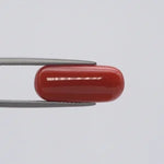 Red Coral - 1545