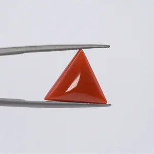 Red Coral - 3637