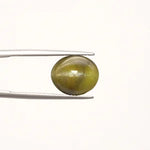 Cats Eye - 847