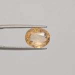 Yellow Sapphire - 1624