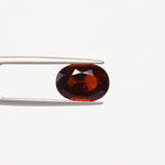 Hessonite - 1315