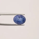 Blue Sapphire - 3336