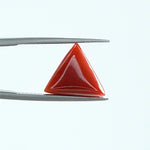 Red Coral - 1413