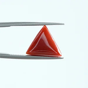 Red Coral - 1413