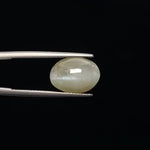 Cats Eye - 3367