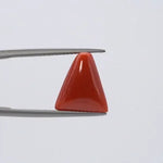 Red Coral - 3641