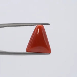 Red Coral - 3641