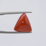 Red Coral - 3674