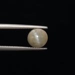 Cats Eye - 840