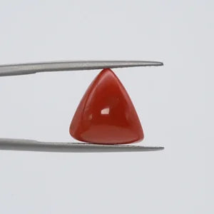 Red Coral - 3660
