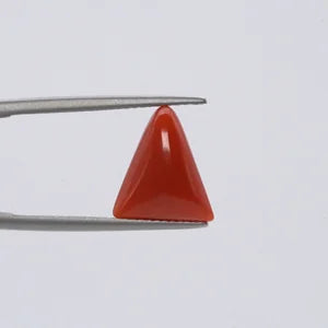 Red Coral - 3663